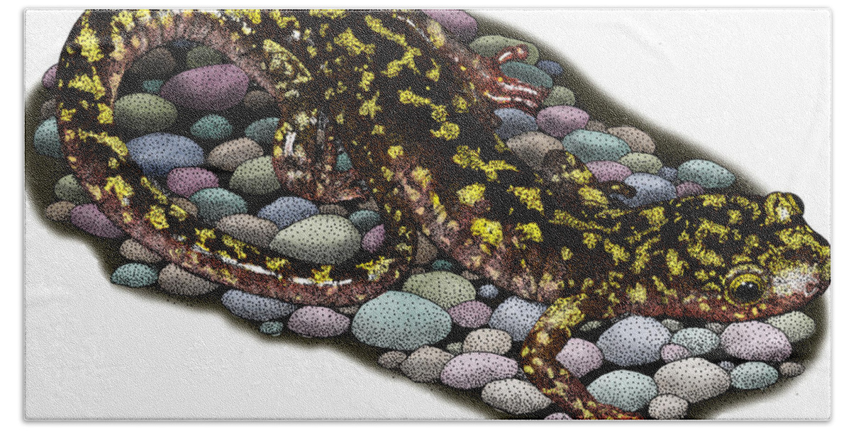 Illustration Beach Towel featuring the photograph Green Salamander by Roger Hall