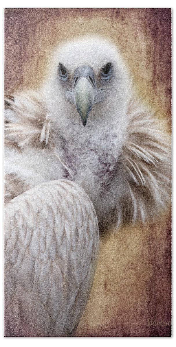 Vulture Beach Towel featuring the photograph Griffon Vulture by Barbara Orenya