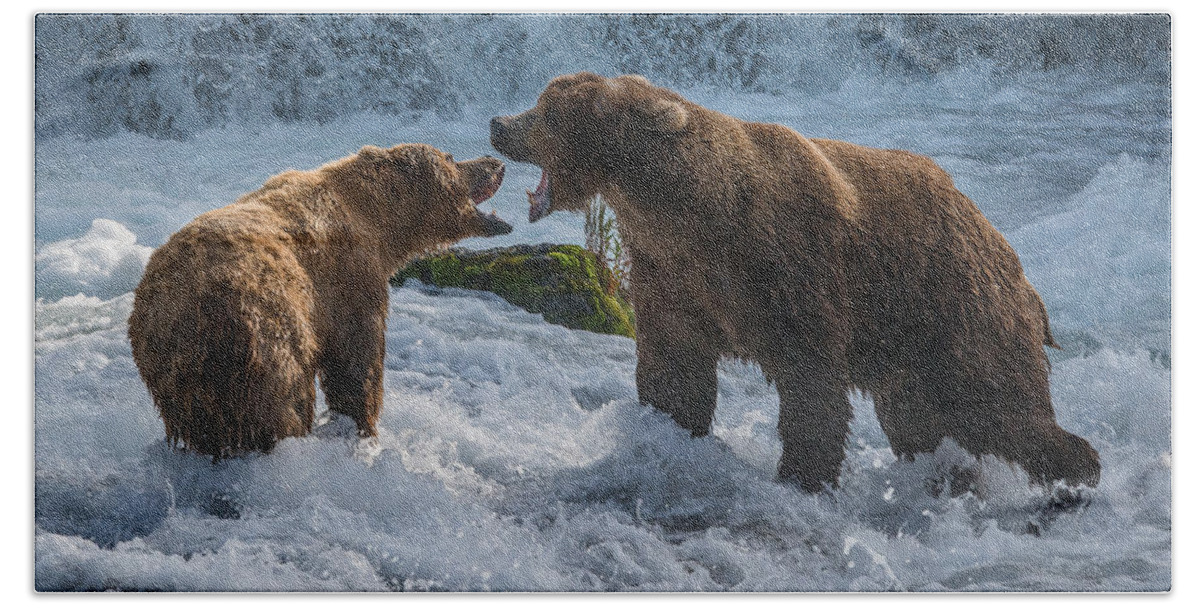 Alaska Beach Towel featuring the photograph Grizzlies Fighting by Joan Wallner