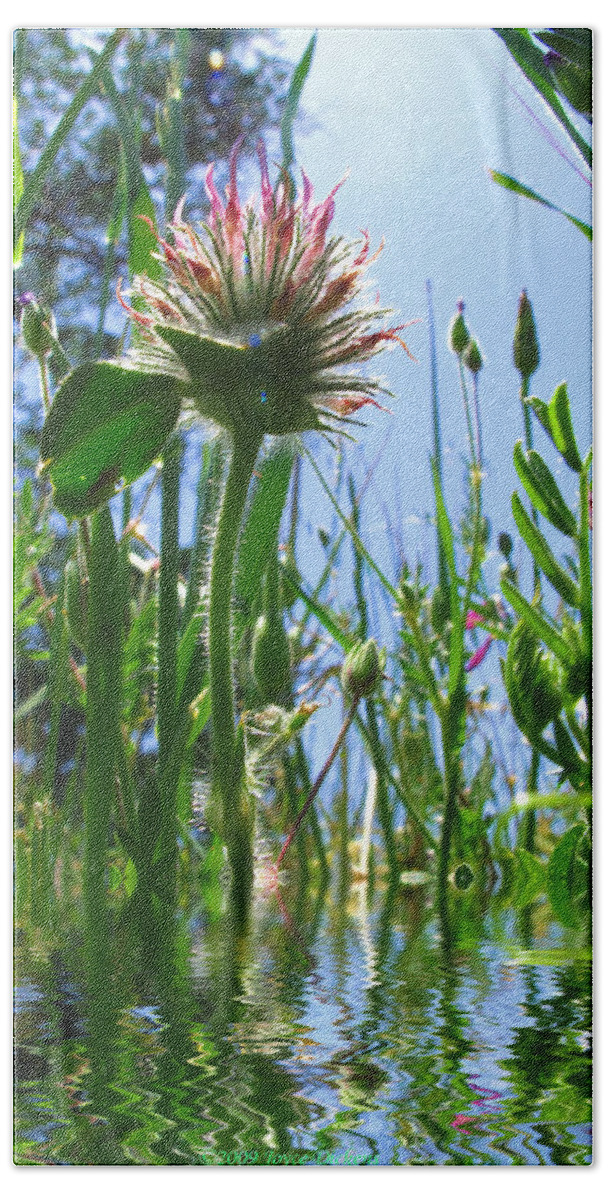 Weeds Beach Towel featuring the photograph Ground Level Flora by Joyce Dickens