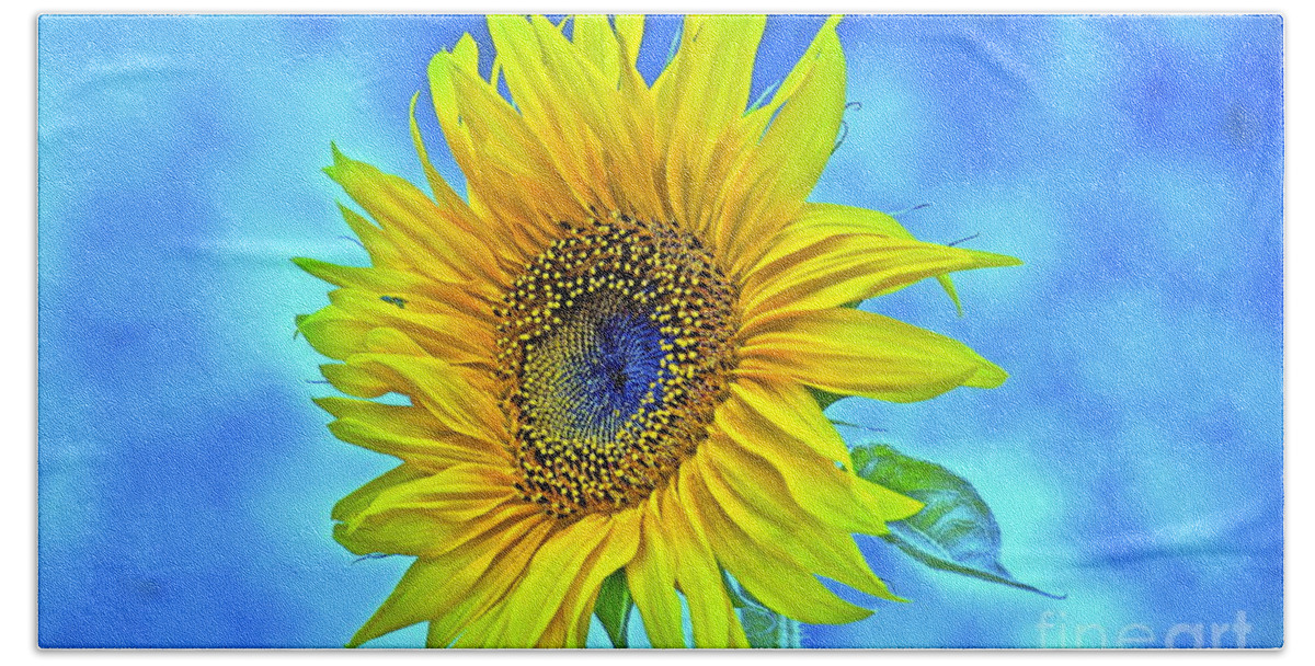 Sunflower Beach Towel featuring the photograph Growth Renewal and Transformation by Gwyn Newcombe