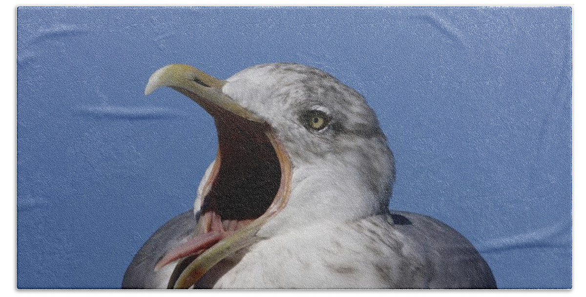Cape Cod Beach Sheet featuring the photograph Gull by Stuart Litoff