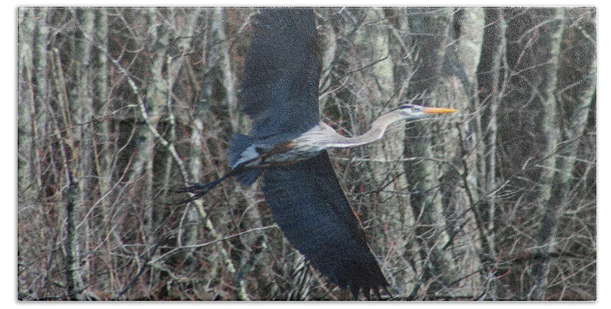 Heron Beach Towel featuring the photograph Hallelujah by Neal Eslinger