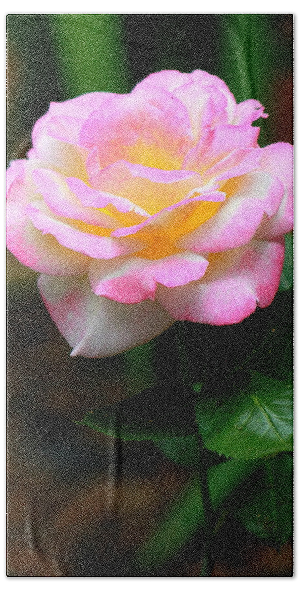 Rose Beach Towel featuring the photograph Hand Picked for You by Deborah Crew-Johnson