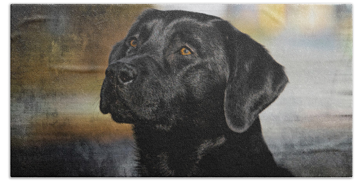 Dog Beach Towel featuring the photograph Handsome Black Lab by Eleanor Abramson