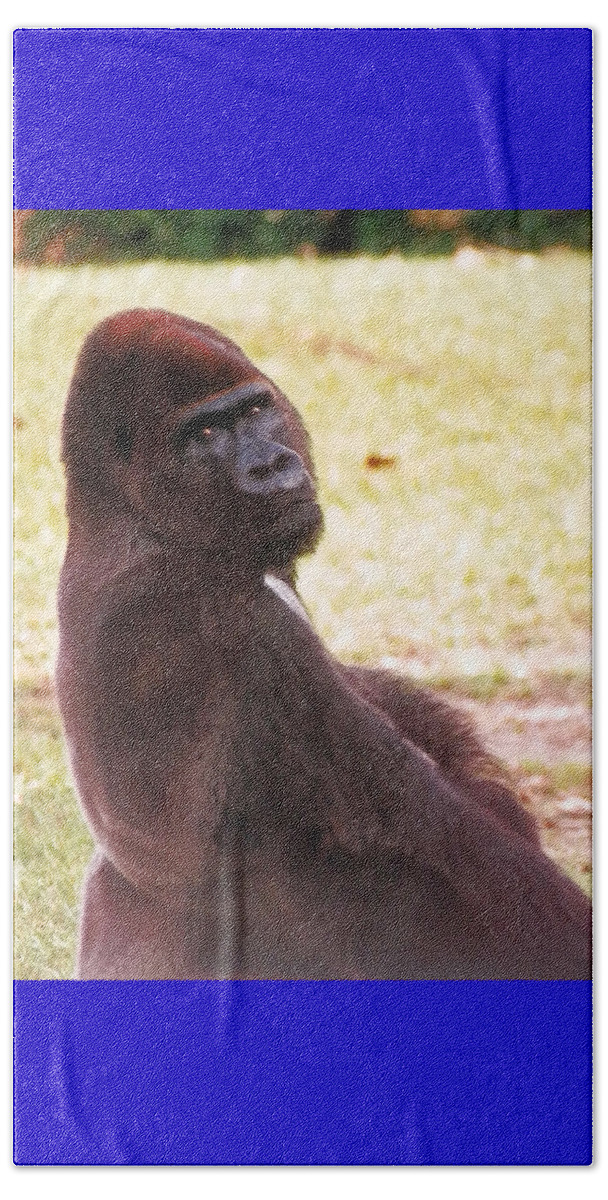 This #handsome Beach Sheet featuring the photograph Handsome Gorilla by Belinda Lee