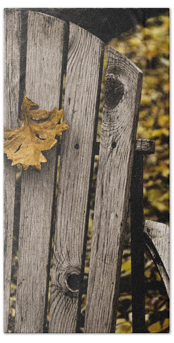 Autumn Beach Sheet featuring the photograph Hanging On by Sandra Parlow