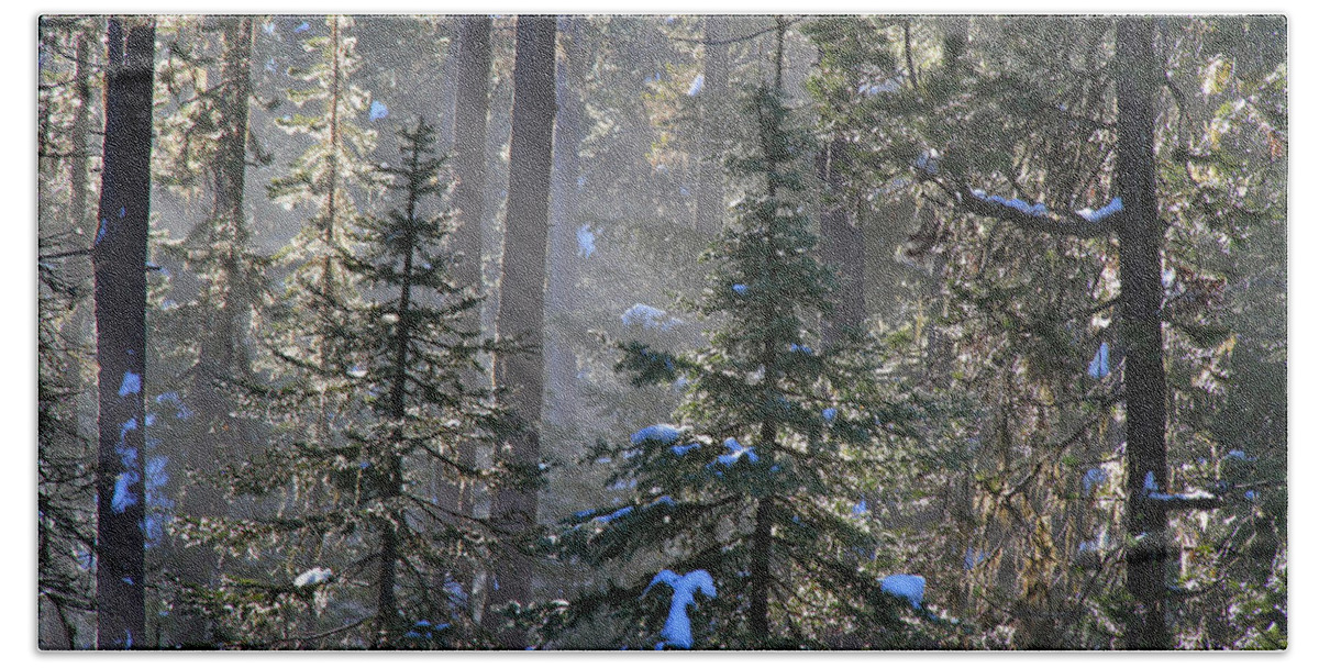 Boise National Forest Beach Towel featuring the photograph Have A Great Day From Idaho by Ed Riche