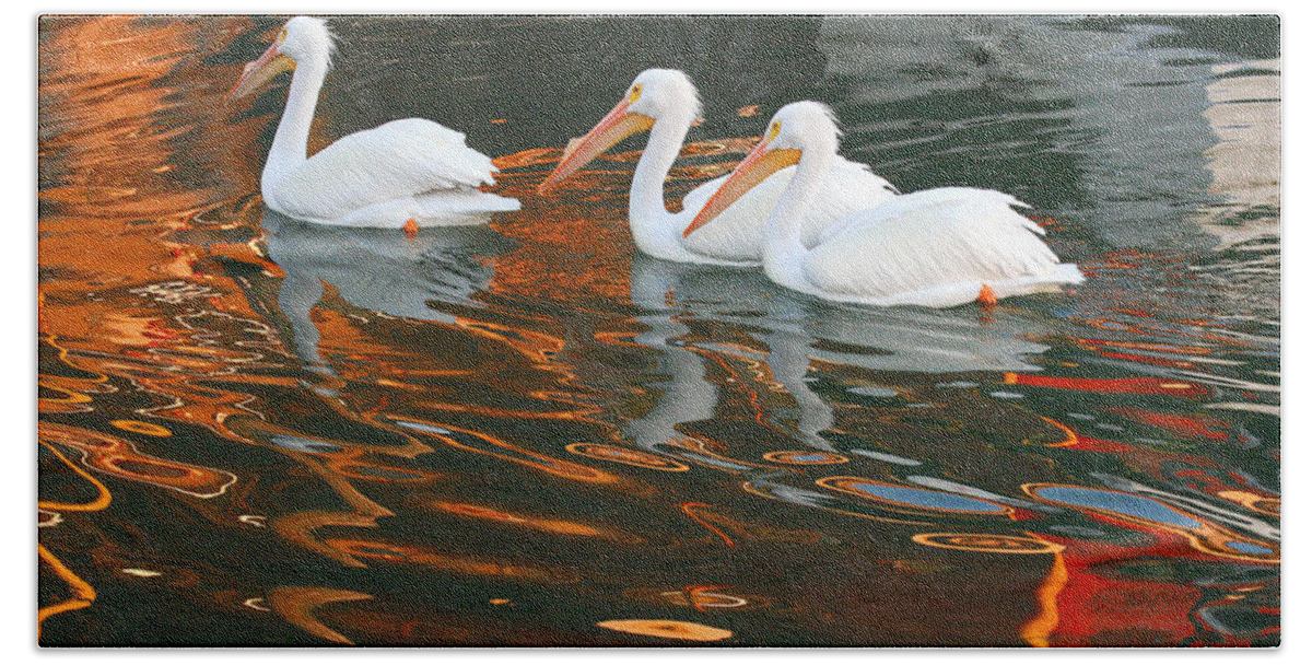 Pelicans Beach Towel featuring the photograph Heading Home by Roger Rockefeller