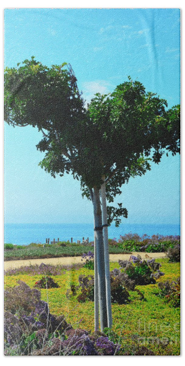 Pismo Beach Beach Towel featuring the photograph Heart Shaped Tree at Pismo Beach by Debra Thompson