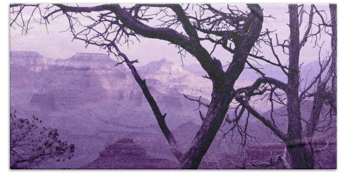 Grand Canyon Beach Towel featuring the photograph Heart Tree by Mars Besso