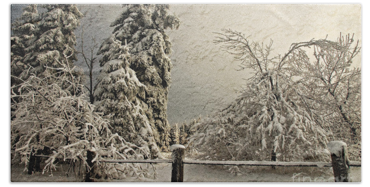 White Christmas Beach Towel featuring the photograph Heavy Laden Blizzard by Lois Bryan
