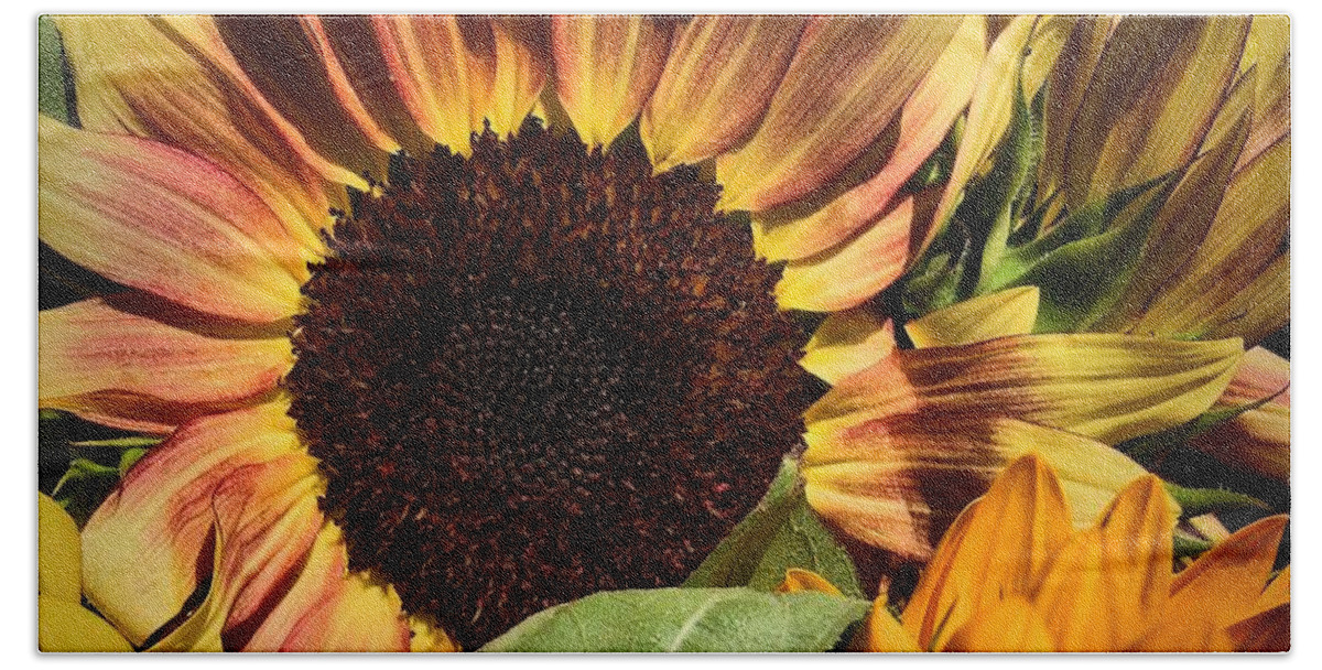 Sunflowers Beach Sheet featuring the photograph Here Comes The Sun by Robert McCubbin