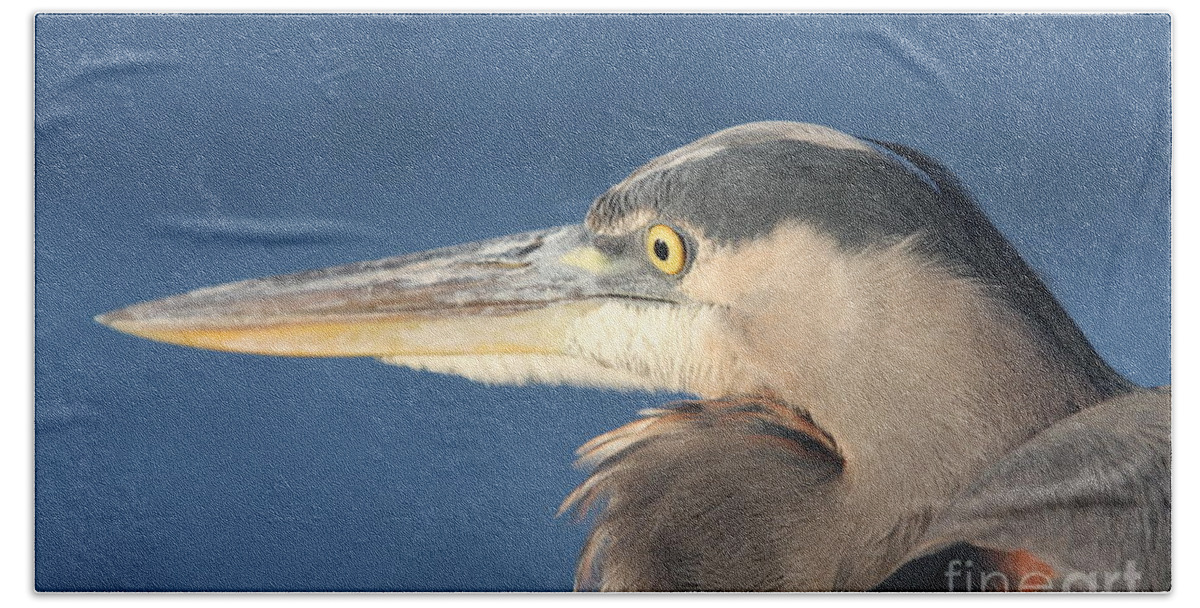 Heron Beach Sheet featuring the photograph Heron Close-Up by Christiane Schulze Art And Photography