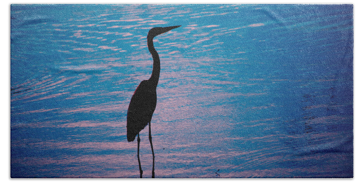 Great Blue Heron Beach Sheet featuring the photograph Herons Moment by Karol Livote