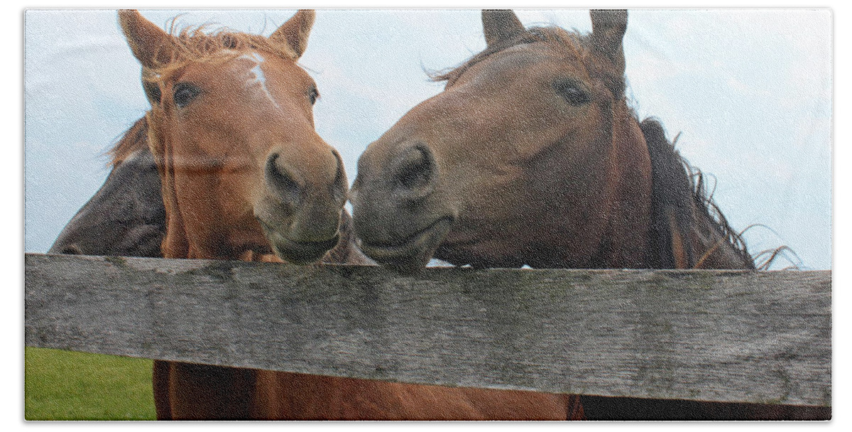 Horse Beach Sheet featuring the photograph Hey You Come Here by Debbie Hart