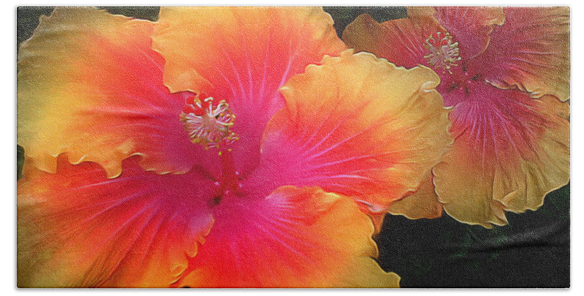 Hibiscus Beach Towel featuring the digital art Hibiscus Duo by Vincent Franco