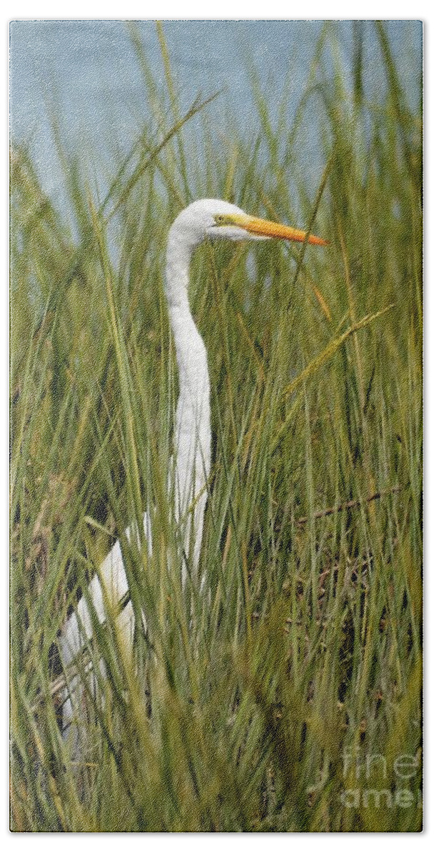 Egret Beach Towel featuring the photograph Hidden In The Marsh Grasses by Kathy Baccari