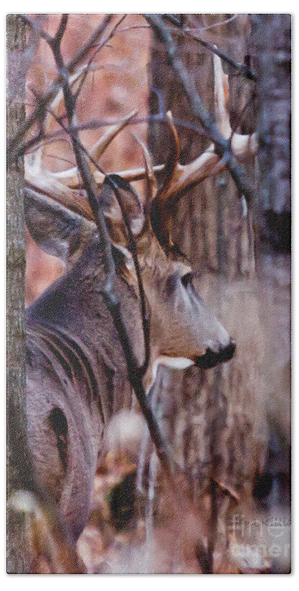 Deer Beach Sheet featuring the photograph Hidden by Jan Killian