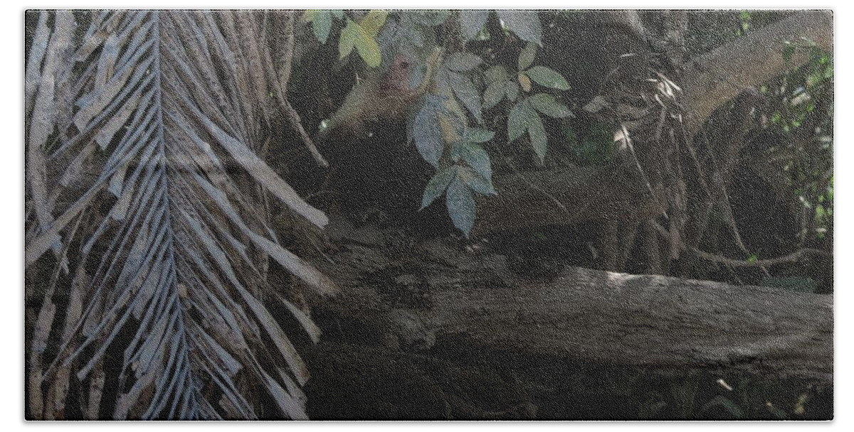 Capuchin Beach Towel featuring the photograph Hiding by Jessica Myscofski