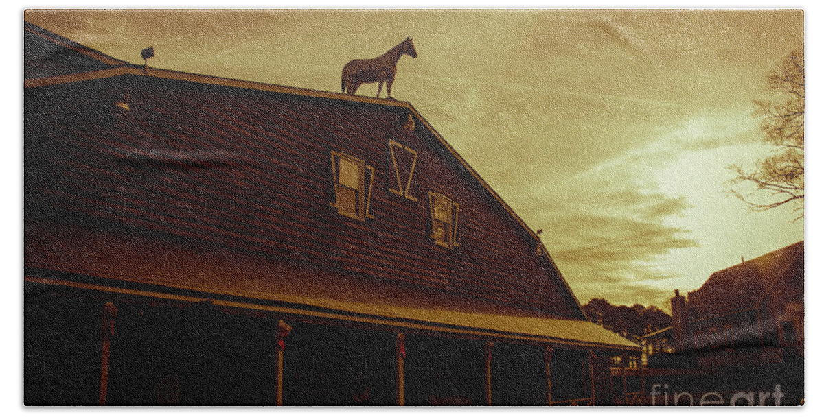 Outdoors Beach Towel featuring the photograph High Horse by Tom Gari Gallery-Three-Photography