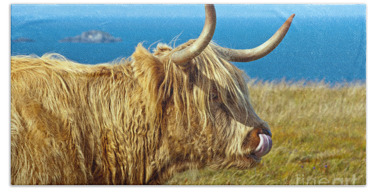 Highland Cattle Beach Towel featuring the photograph Highland Beauty by Bel Menpes