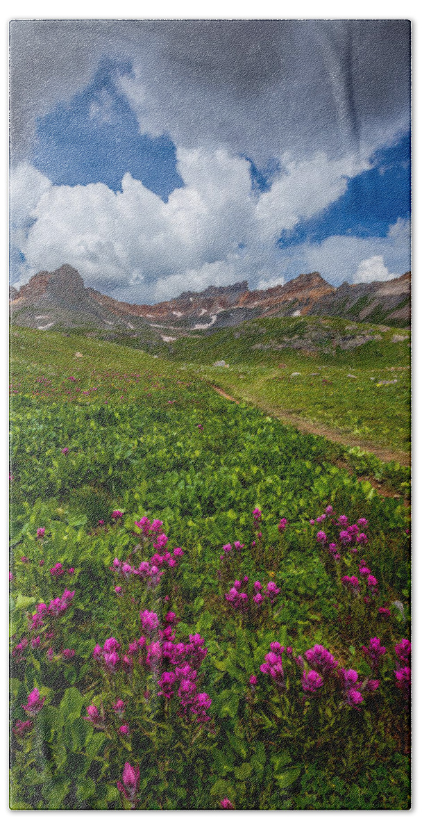 Wildflowers Beach Towel featuring the photograph Hiking Ice Lake Basin by Darren White