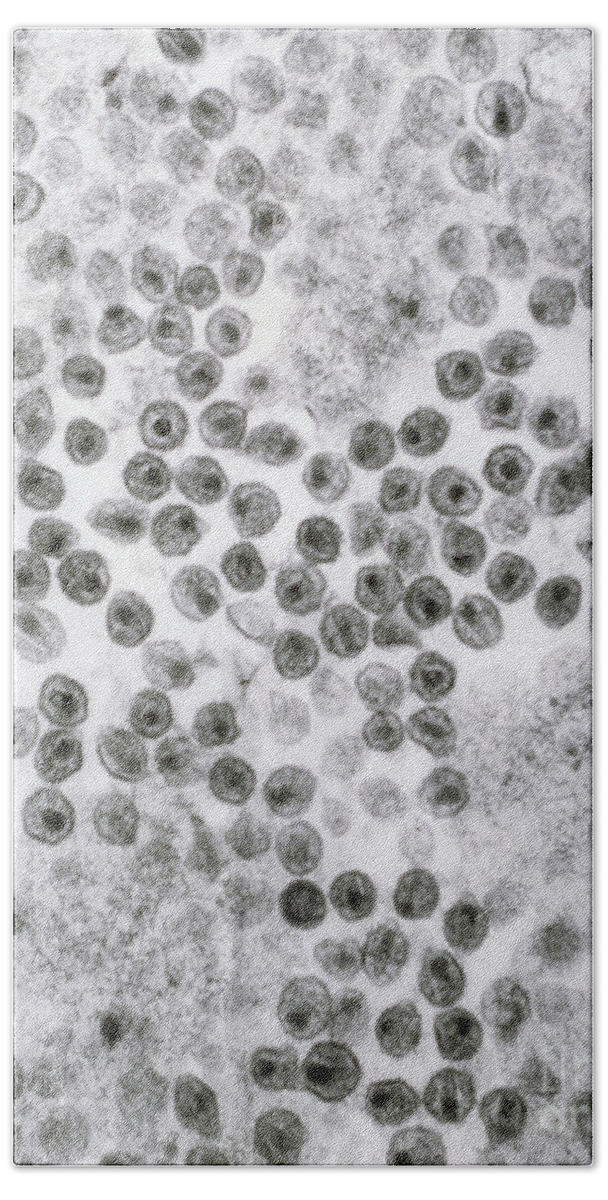 Hiv Beach Towel featuring the photograph Hiv Virus by David M. Phillips