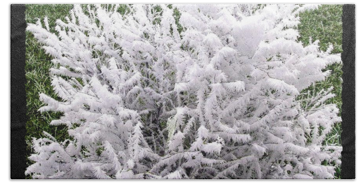 Hoarfrost 20 Beach Towel featuring the photograph Hoarfrost 20 by Will Borden