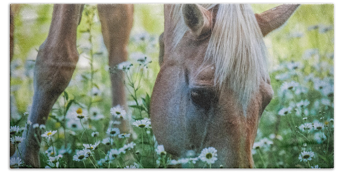 Horse Beach Towel featuring the photograph Horse and Daisies by Paul Freidlund