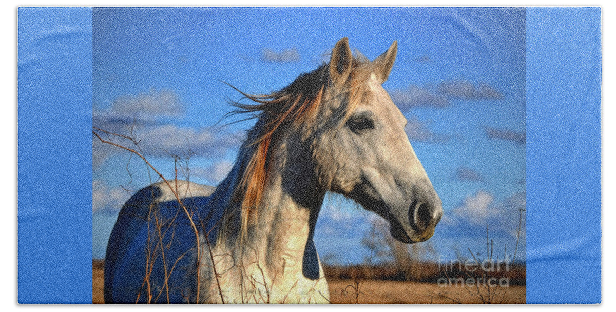 Horse Beach Sheet featuring the photograph Horse by Savannah Gibbs