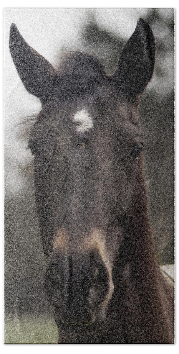 Horse Beach Towel featuring the photograph Horse with Gentle Eyes by Belinda Greb