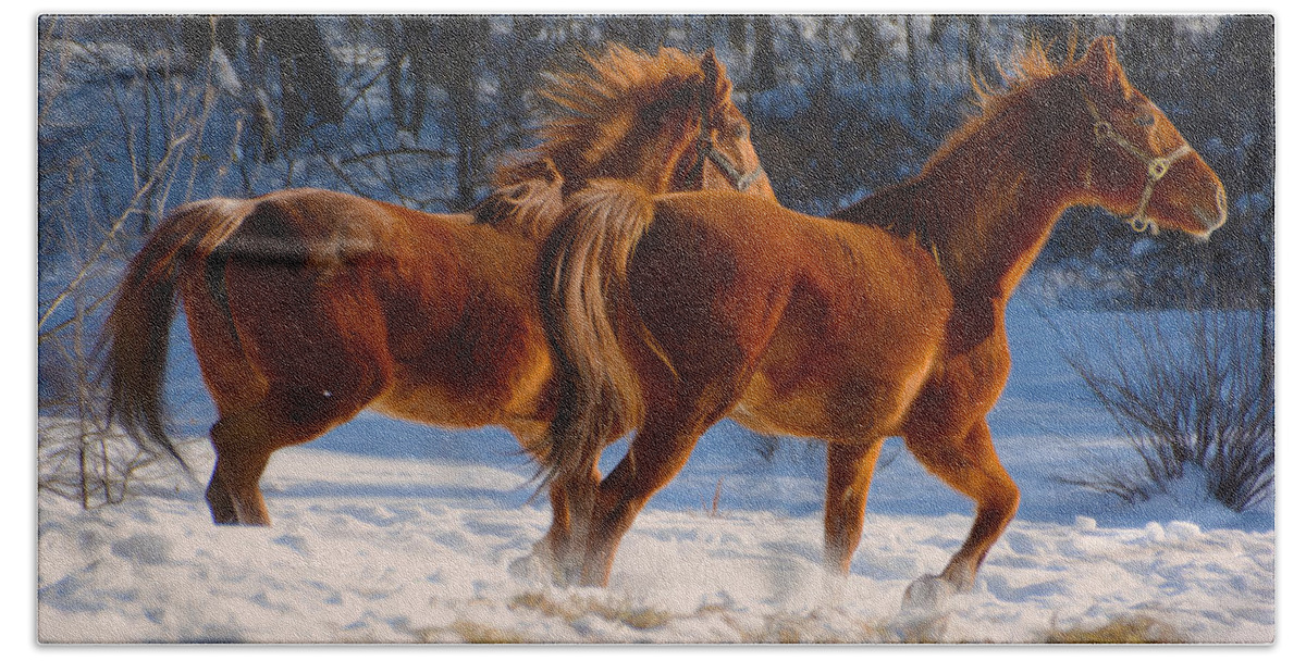 Horse Beach Sheet featuring the photograph Horses in motion by Tracy Winter