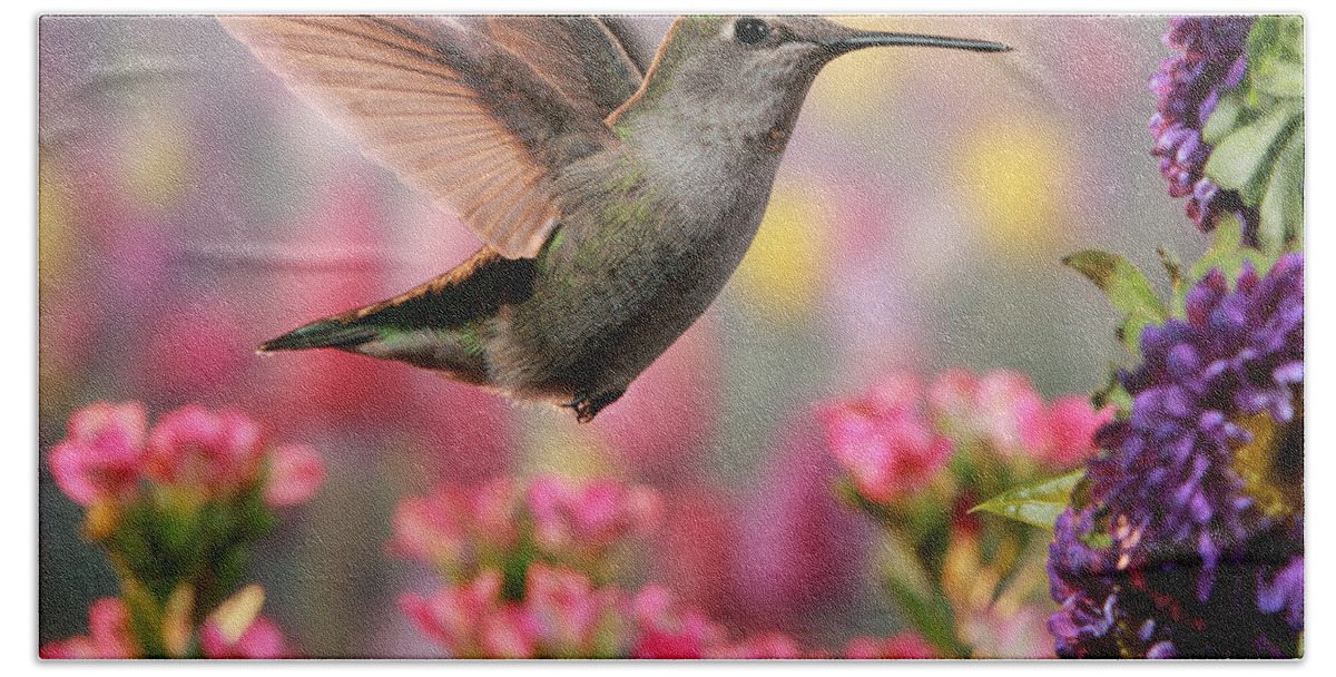 Hummingbird Beach Towel featuring the photograph Hummingbird in colorful garden by William Lee
