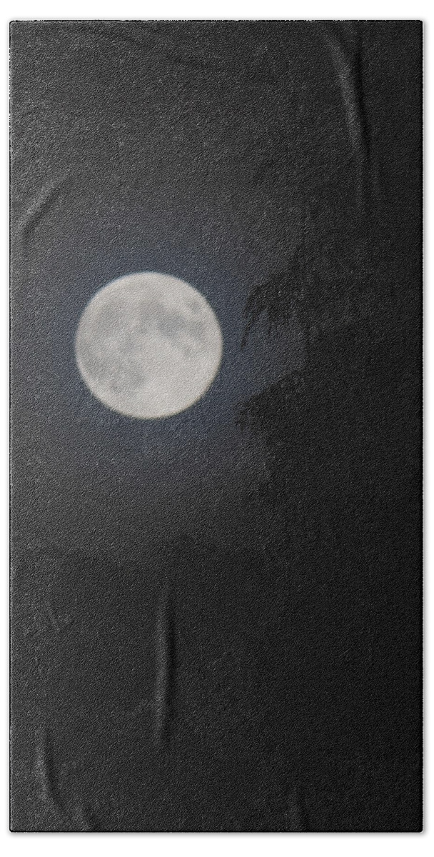 Full Moon Beach Towel featuring the photograph Hunters Moon by Randy Hall