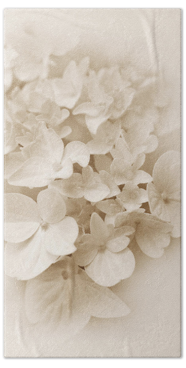 Hydrangea Beach Towel featuring the photograph Hydrangea Flowers Sepia Delight by Jennie Marie Schell