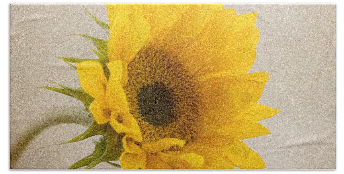 Sunflower Beach Sheet featuring the photograph I See Sunshine by Kim Hojnacki
