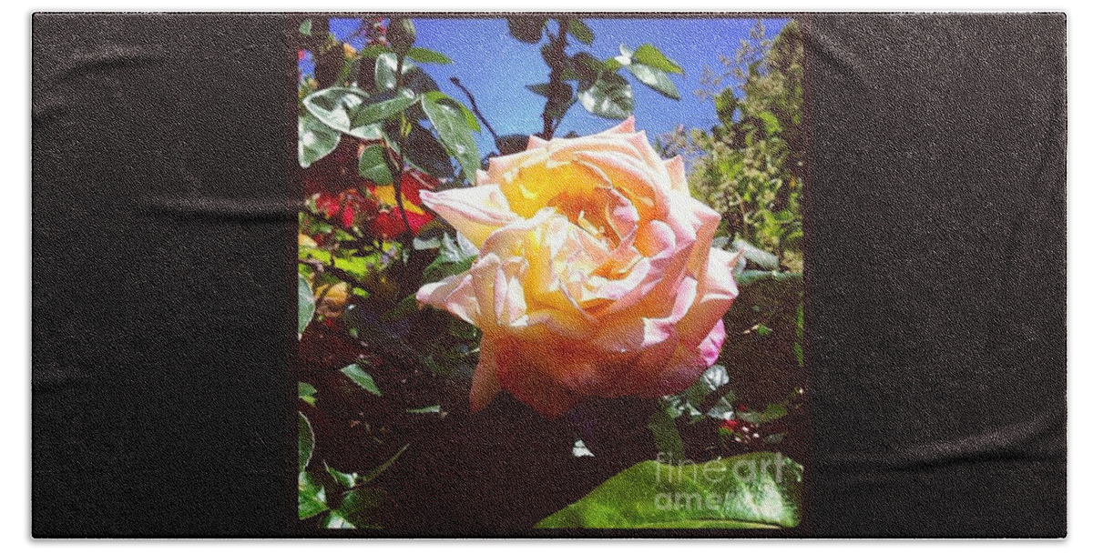 Rose Beach Towel featuring the photograph I See You by Denise Railey