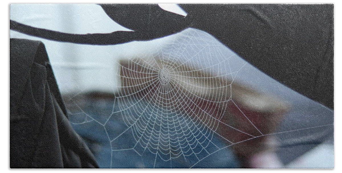 Spiderweb Beach Sheet featuring the photograph I wanna ride by David S Reynolds