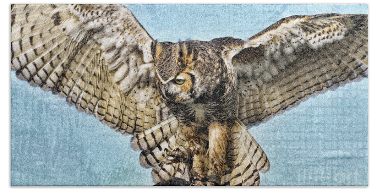 Owl Beach Towel featuring the photograph I Want to Fly by Deborah Benoit