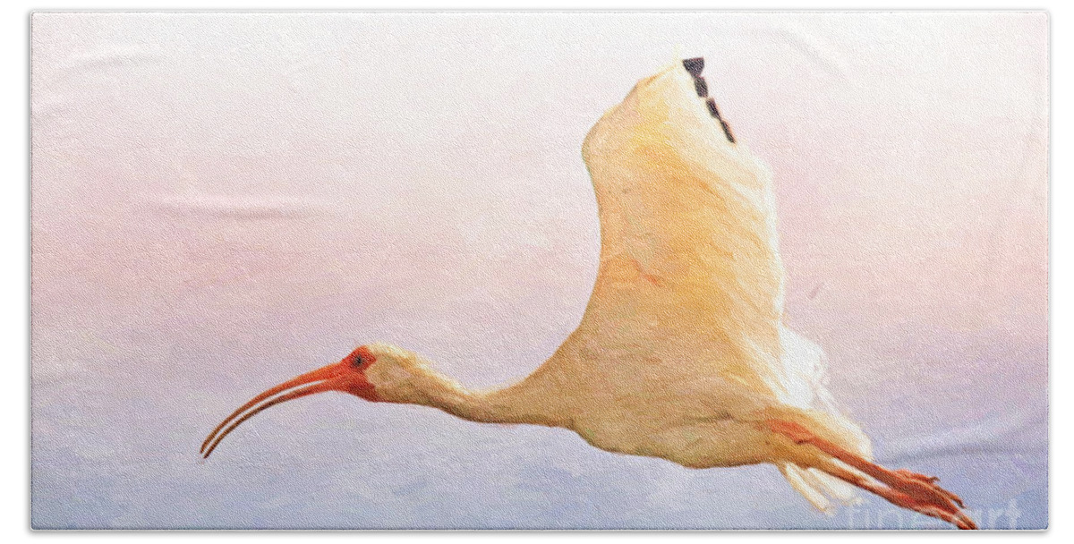 American White Ibis Beach Towel featuring the photograph Ibis in Flight by Kerri Farley
