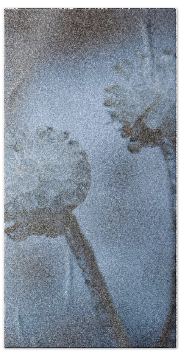 Flower Beach Sheet featuring the photograph Ice-covered Winter Flowers with Blue Background by Cascade Colors