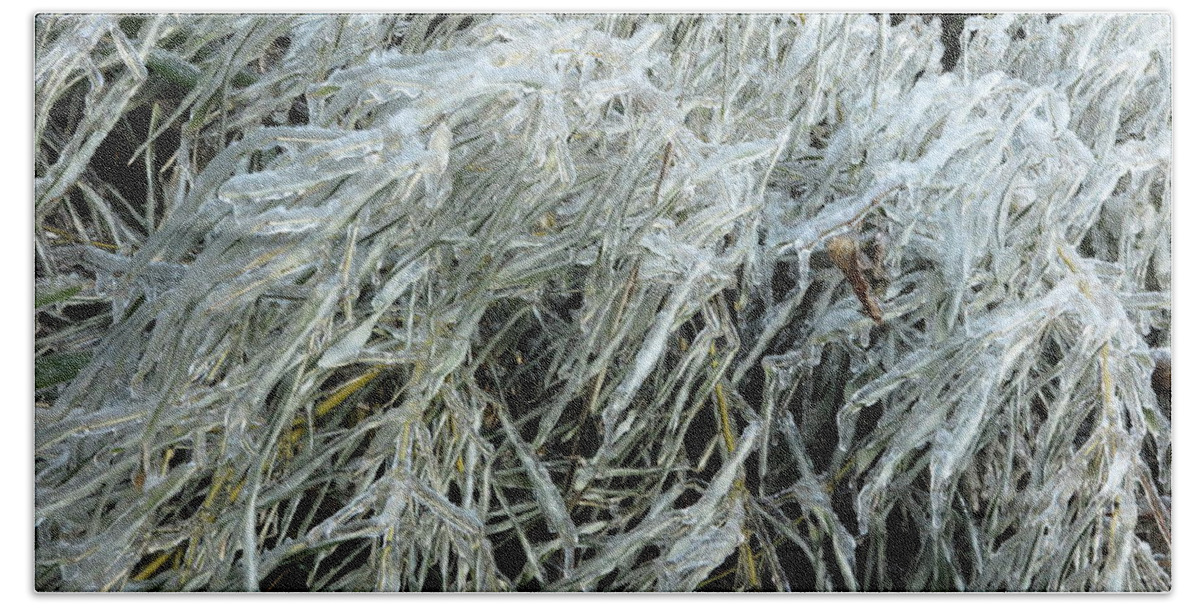 Ice Beach Towel featuring the photograph Ice On Bamboo Leaves by Daniel Reed