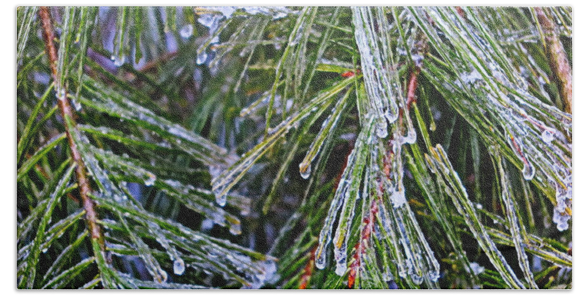 Ice Beach Towel featuring the photograph Ice On Pine Needles by Daniel Reed
