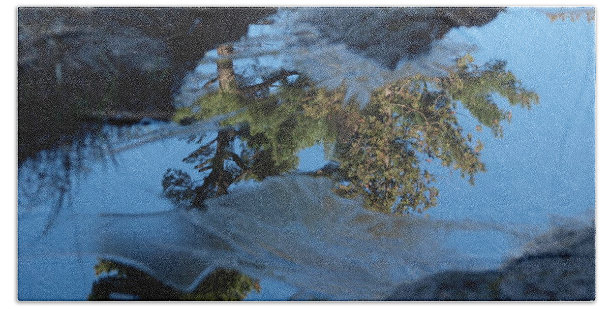 Jim Beach Towel featuring the photograph Icy Evergreen Reflection by James Peterson
