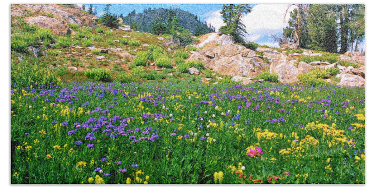 Wildflowers Beach Towel featuring the photograph Idaho Mountain Wildflowers by Ed Riche