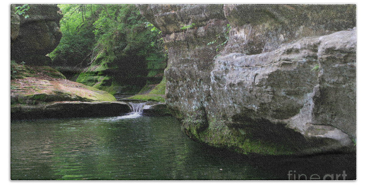 Landscape Beach Towel featuring the photograph Illinois Canyon May 2014 by Paula Guttilla