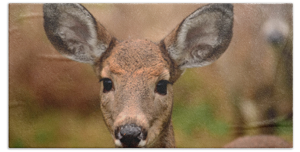 Deer Beach Towel featuring the photograph I'm Never Alone by Lori Tambakis