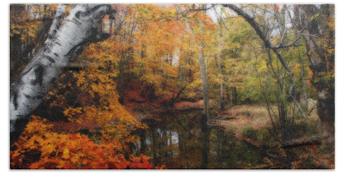 Autumn Beach Towel featuring the photograph In Dreams Of Autumn by Kay Novy