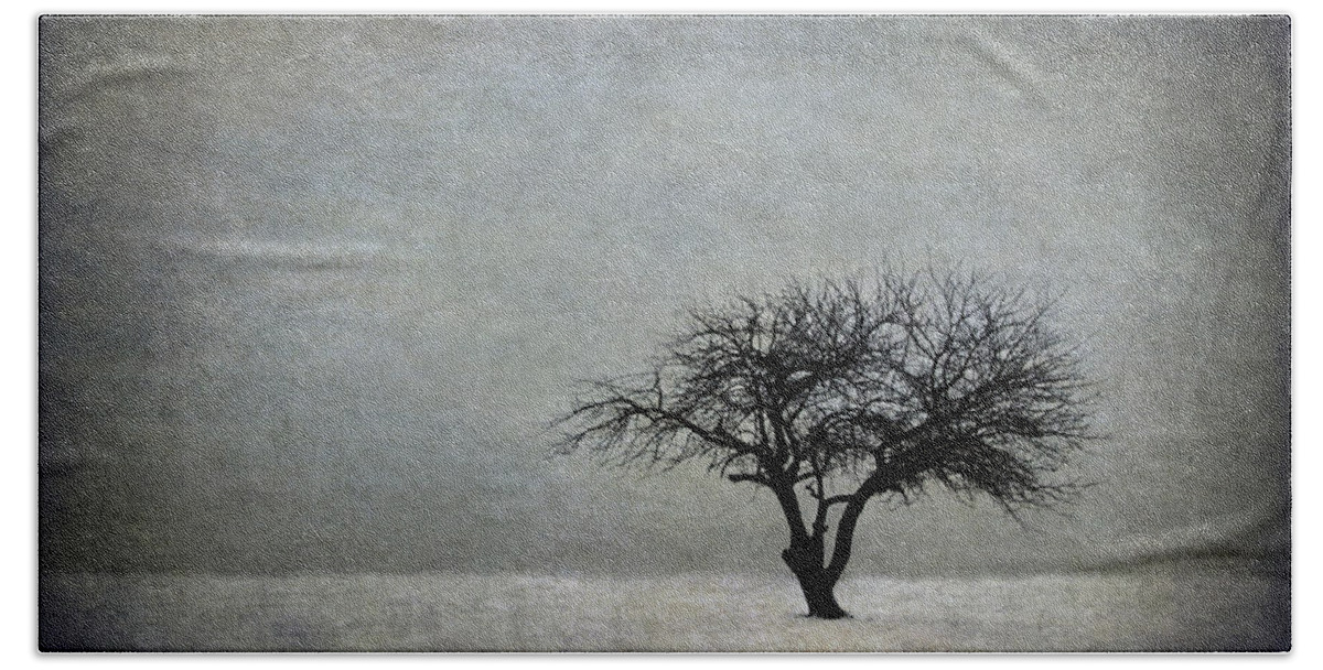 Tree Beach Towel featuring the photograph In The Bleak Of Midwinter by Evelina Kremsdorf